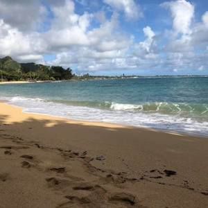 Meet your Posher, Lynn